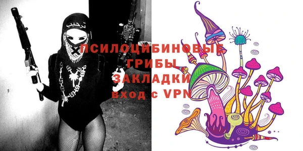 дурь Лихославль