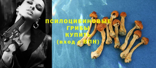 МДПВ Лиски