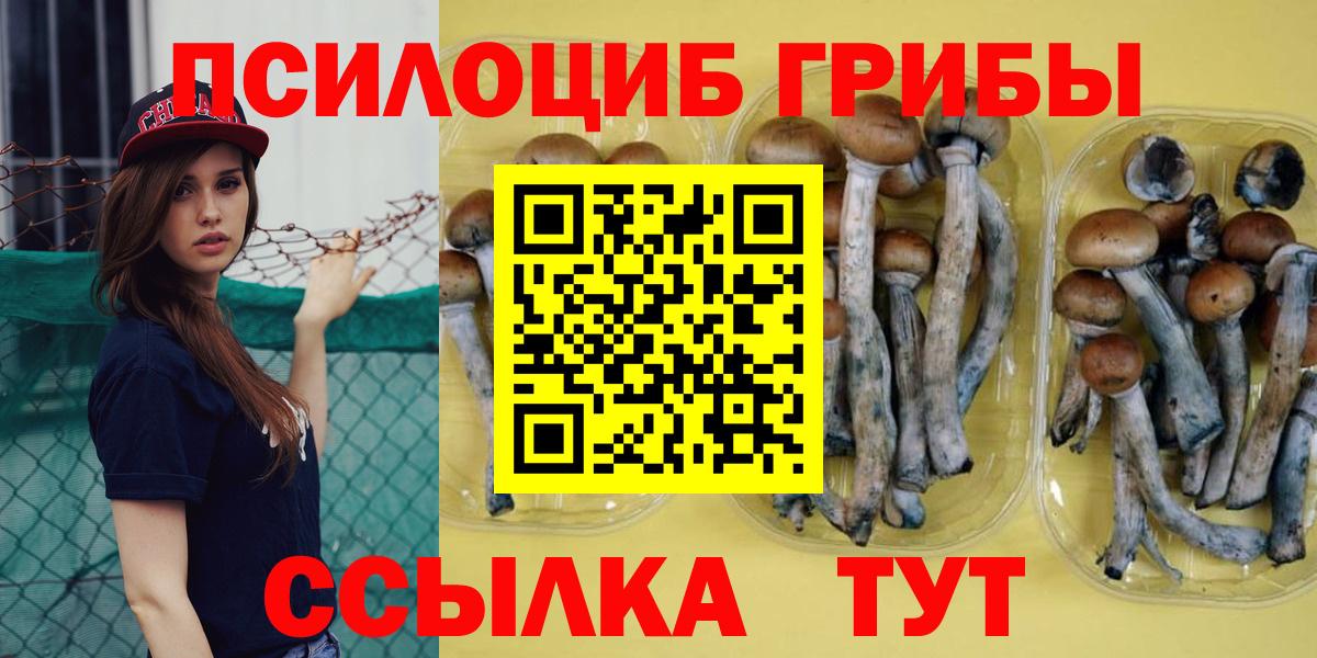 Псилоцибиновые грибы мицелий  цена   Учалы  Псилоцибиновые грибы Cubensis  Вход с VPN 
