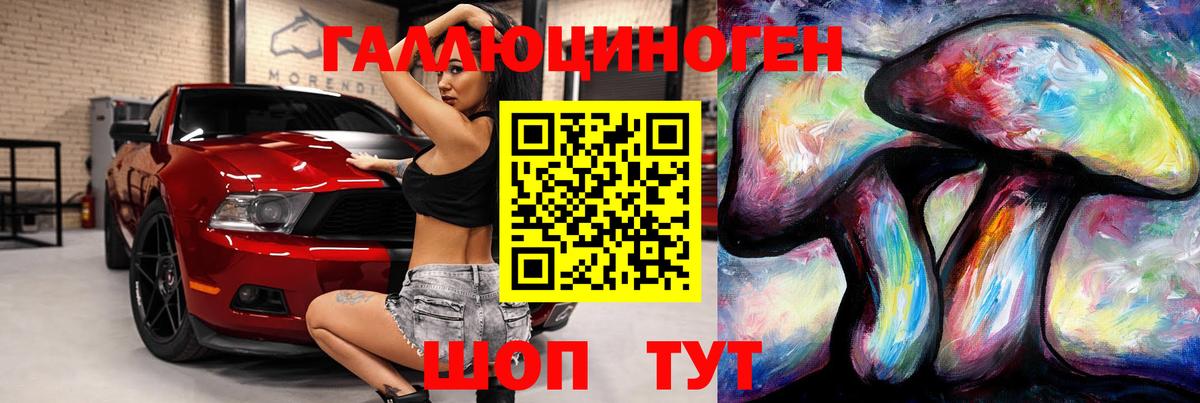 Псилоцибиновые грибы Psilocybine cubensis  Учалы  Галлюциногенные грибы MAGIC MUSHROOMS 