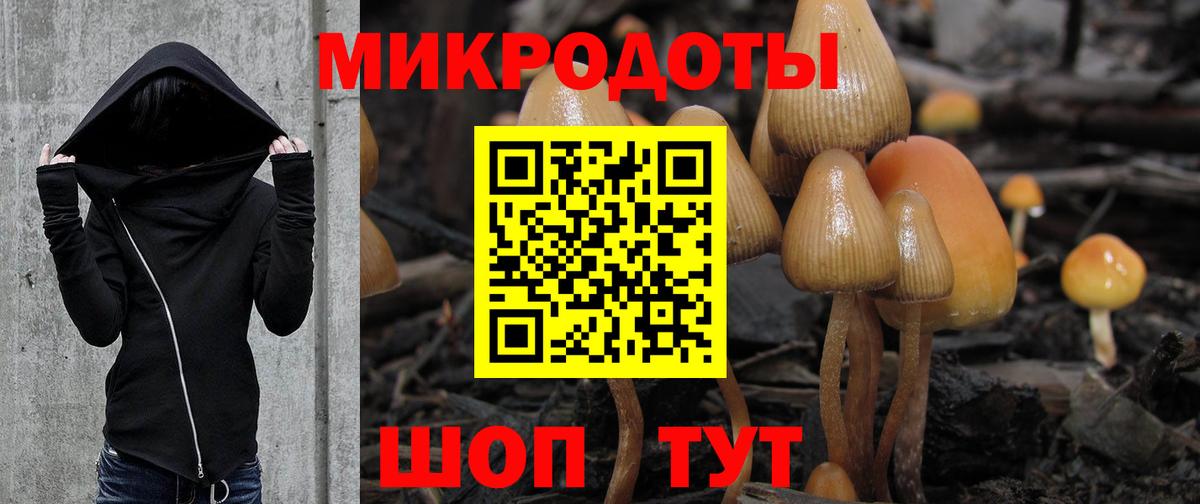 Псилоцибиновые грибы Cubensis Учалы